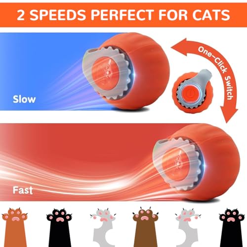 Qpets® Electric Cat Ball Toy Cat Teaser with 2 Speed Fun Speedy Chasing Teasing Tail Bell Charm Self Entertainment USB Rechargeable 3 PCS Qpets® Electric Cat Ball Toy Cat Teaser with 2 Speed Fun Speedy Chasing Teasing Tail Bell Charm Self Entertainment USB Rechargeable 3 PCS